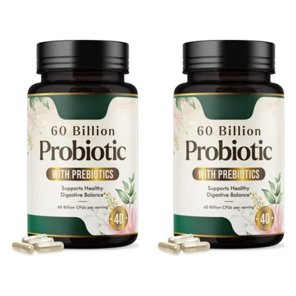 Daily Probiotic Supplement for Digestive Health 60 Billion CFU Shelf Stable Acidophilus Supports Gut Health Immune Support