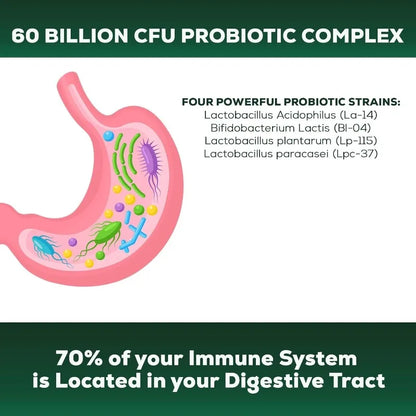 Daily Probiotic Supplement for Digestive Health 60 Billion CFU Shelf Stable Acidophilus Supports Gut Health Immune Support
