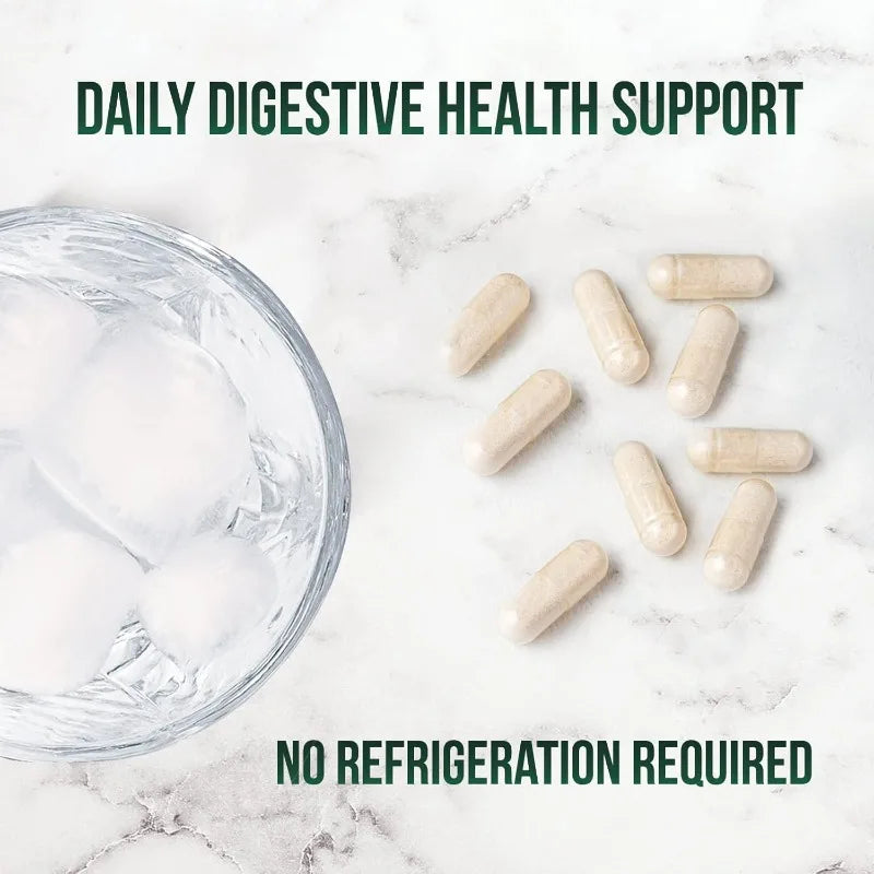 Daily Probiotic Supplement for Digestive Health 60 Billion CFU Shelf Stable Acidophilus Supports Gut Health Immune Support