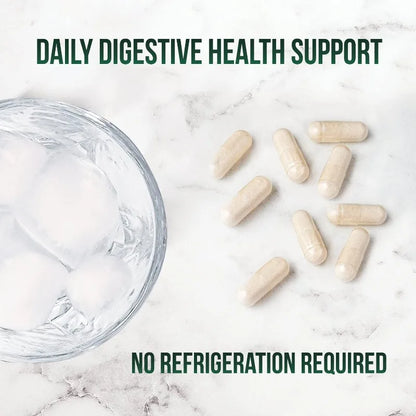 Daily Probiotic Supplement for Digestive Health 60 Billion CFU Shelf Stable Acidophilus Supports Gut Health Immune Support