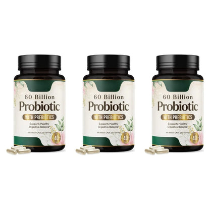 Daily Probiotic Supplement for Digestive Health 60 Billion CFU Shelf Stable Acidophilus Supports Gut Health Immune Support