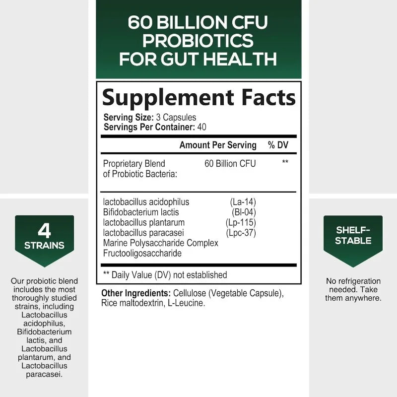 Daily Probiotic Supplement for Digestive Health 60 Billion CFU Shelf Stable Acidophilus Supports Gut Health Immune Support