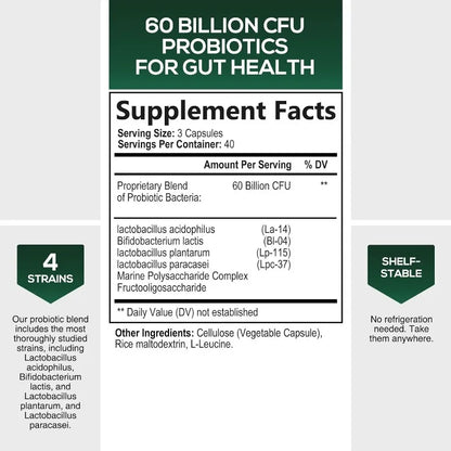 Daily Probiotic Supplement for Digestive Health 60 Billion CFU Shelf Stable Acidophilus Supports Gut Health Immune Support